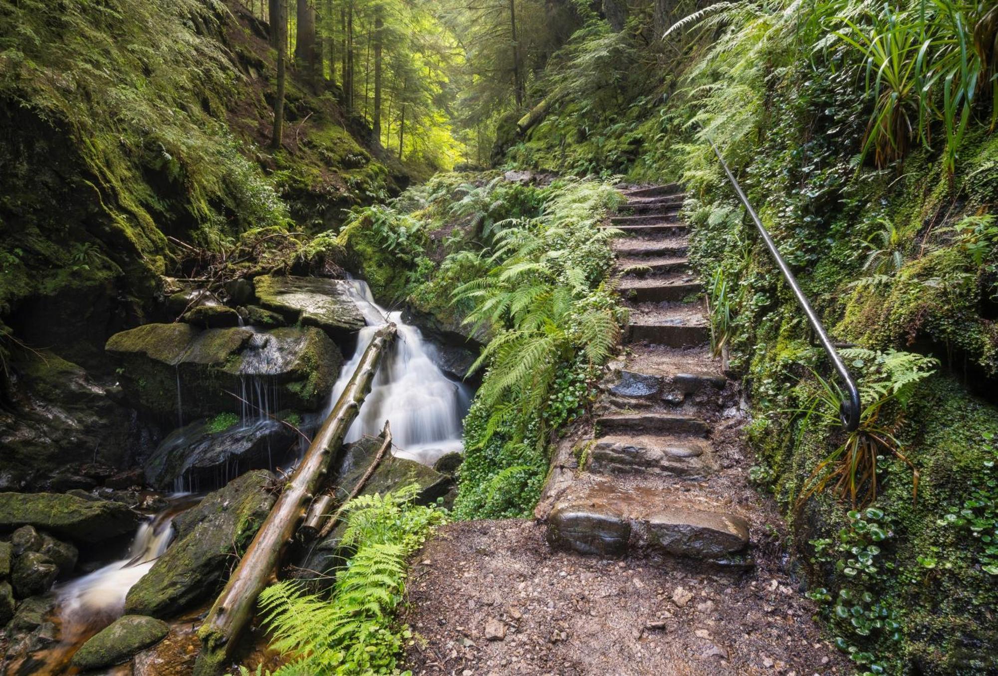 18 Lamont Lodges Данун Экстерьер фото
